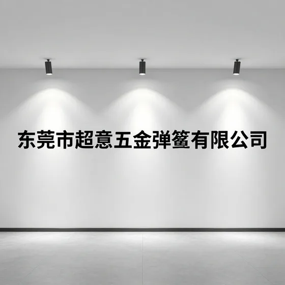 东莞市超意五金弹簧有限公司案例参考